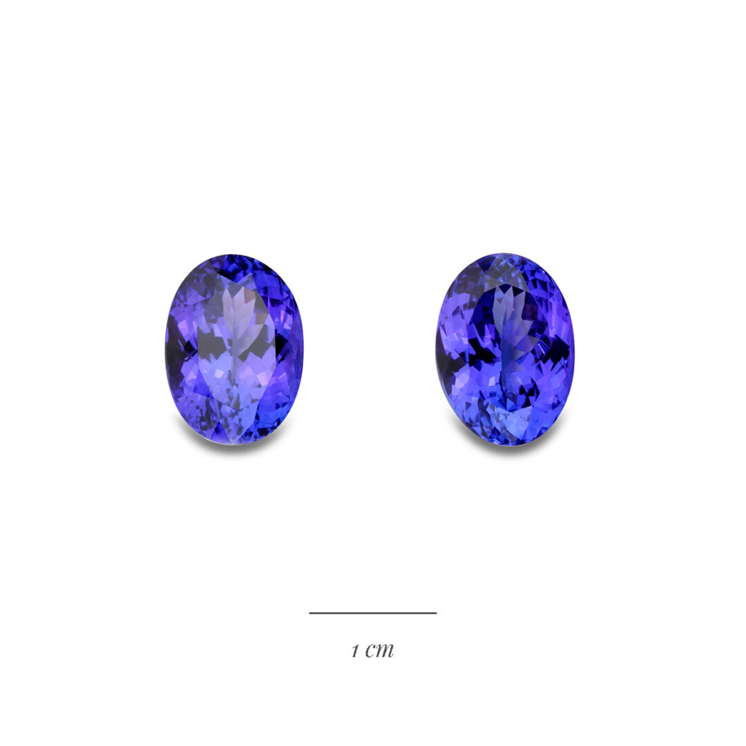 Tanzanites bleues 10,13 et 10,36 carats pour création de bijou sur mesure à la Compagnie des Gemmes joaillier à Paris